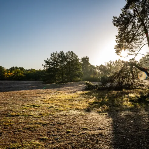 Dünenpfad Dudenhofen