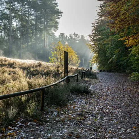 Dünenpfad Dudenhofen
