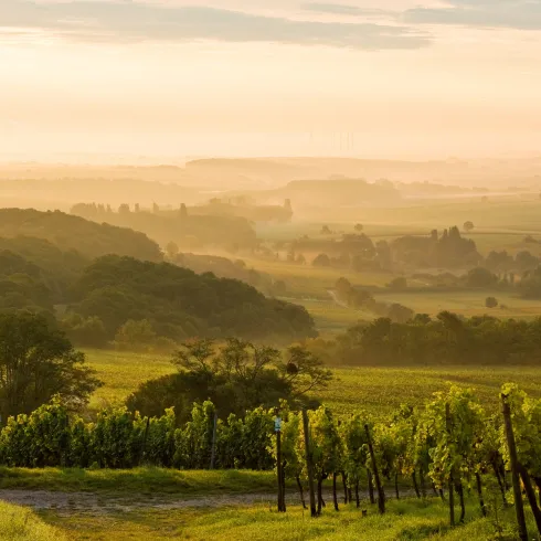 Gleiszellen Gleishorbach