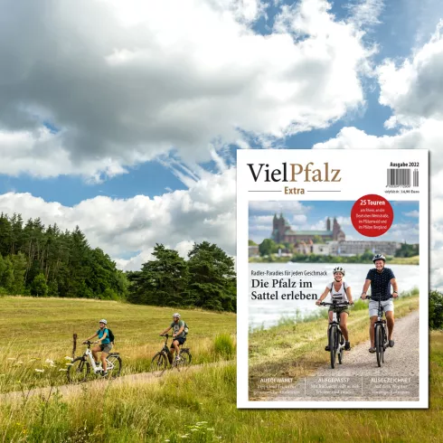 VielPfalz Extra - 25 Radtouren in der Pfalz