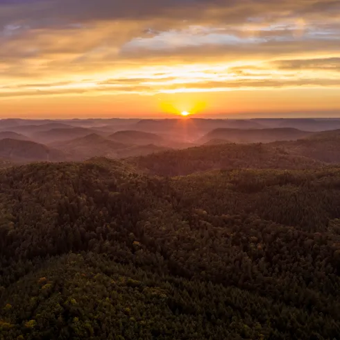 Hauensteiner Schusterpfad