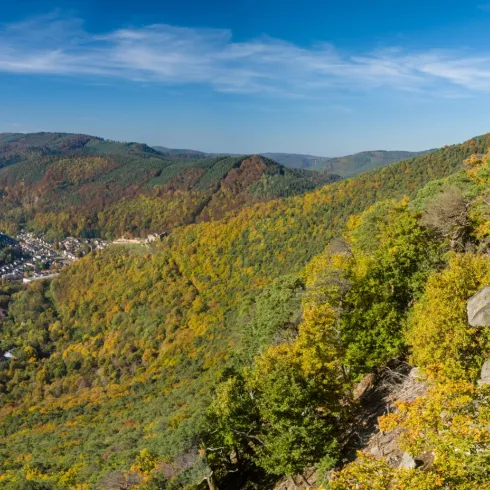 Neustadter Bergstein