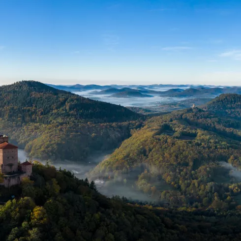 Luftansicht Burg Trifels mit Pfälzerwald im Hintergrund