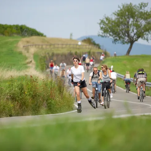 Erlebnistag Deutsche Weinstrasse