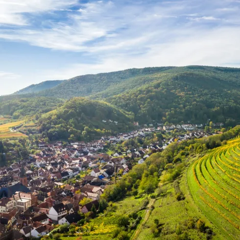 Wingertsberg St. Martin