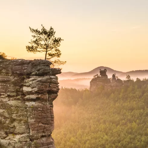 Goldener Sonnenaufgang im Dahner Felsenland