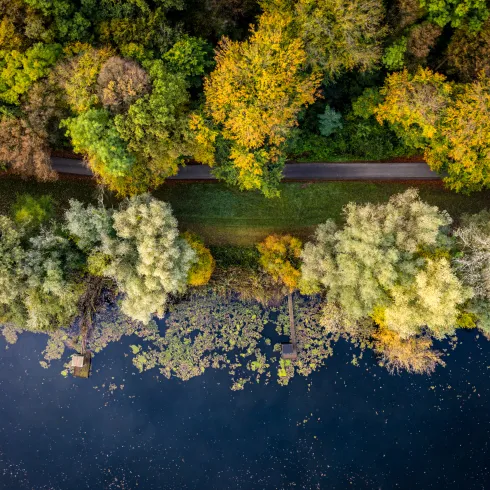 Frühherbst am Altrhein bei Jockgrim