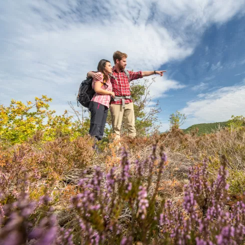 Tourismusstrategie Pfalz 2025+