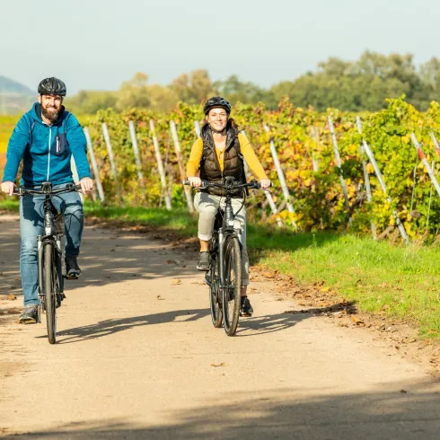 Biblicher Weinlehrpfad, Kirrweiler