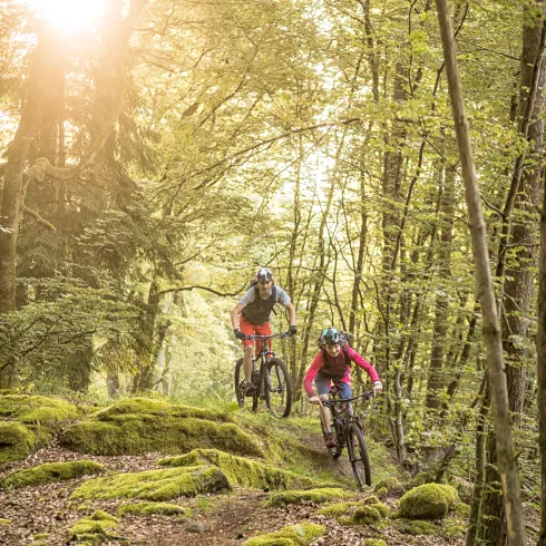 World of MTB Pfalz