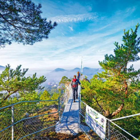 Wanderer auf dem Hahnfels mit Blick über den Pfälzerwald