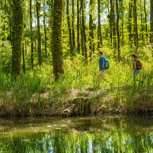 Wanderer in der Rhein-Auenlandschaft auf dem Treidlerweg
