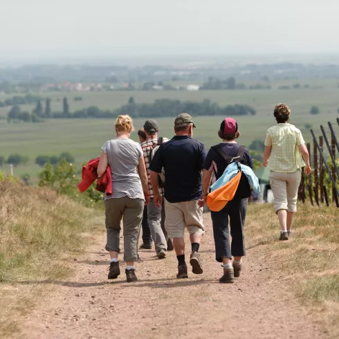 Weinwanderung bei Weyher