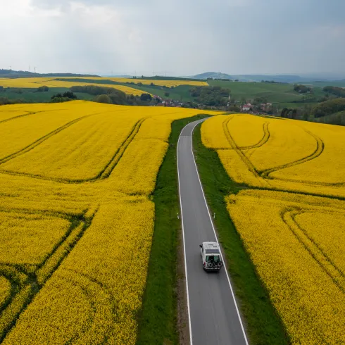 Ein Van fährt entlang einer Straße die durch die Rapsfelder der Alten Welt führt.