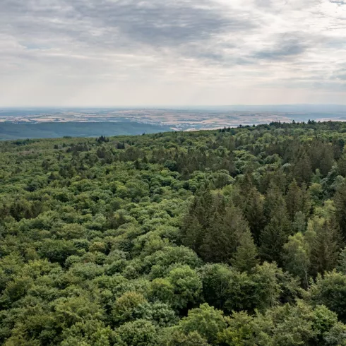 Drohnenansicht Donnersberg, dem höchsten Berg der Pfalz