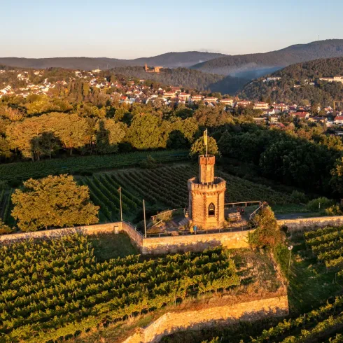 Flaggenturm bei Bad Dürkheim mit Pfälzerwald im Hintergrund