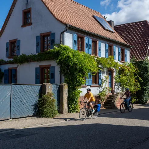 Mit dem Fahrrad die Felder und Weindörfer genießen
