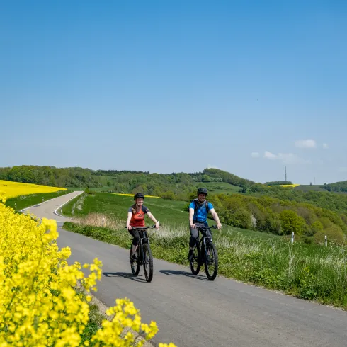 Mit dem Fahrrad an den Rapsfeldern vorbei