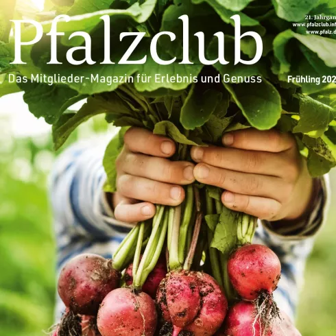 Schriftzug Pfalzclub Magazin und zwei Hände die ein Bund Radiesche halten 