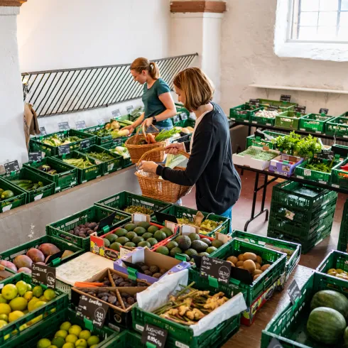 Einkaufen im Pfälzer Hofladen