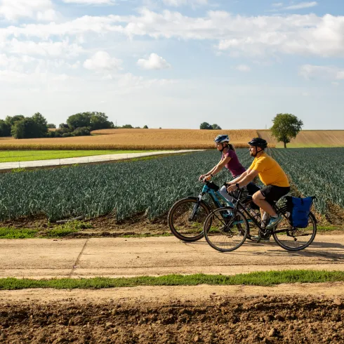 Radfahren entlang der Gemüsefelder