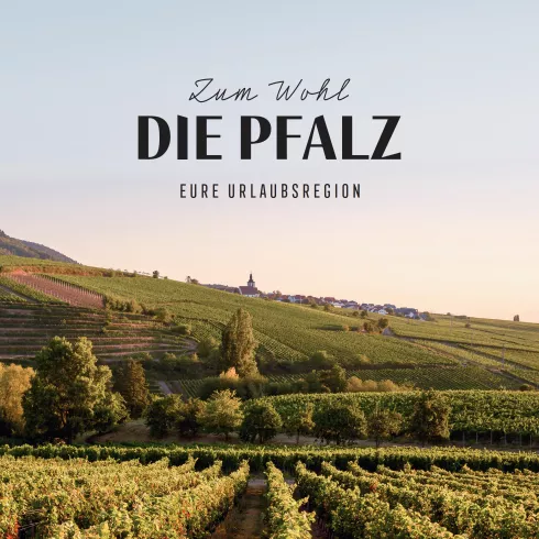 Die Pfalz - eure Urlaubsregion