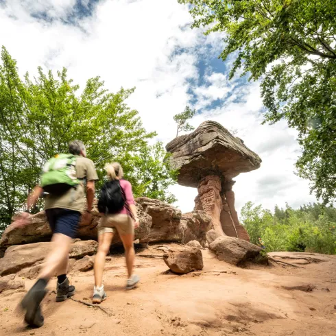 Wandererpaar auf dem Weg zum Teufelstisch im Pfälzerwald