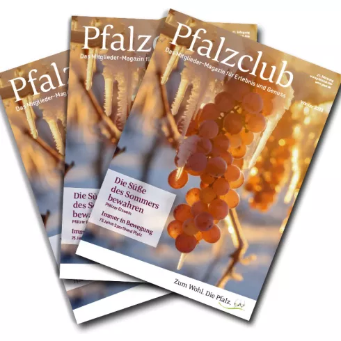 drei Magazine mit der Aufschrift Pfalzclub Magazin, das oberste mit einer Weintraube auf dem Titel