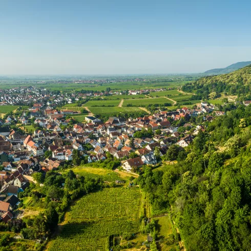 Stellplätze direkt am Weingut