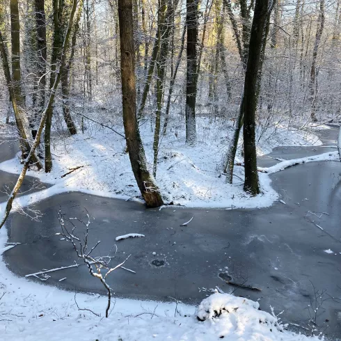 Otterbachbruchweg im Winter