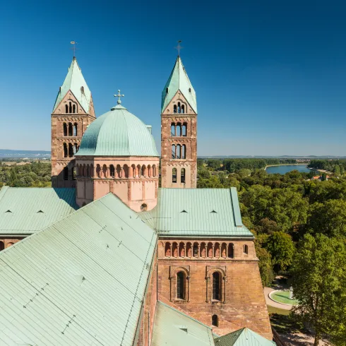 Wein am Dom in Speyer