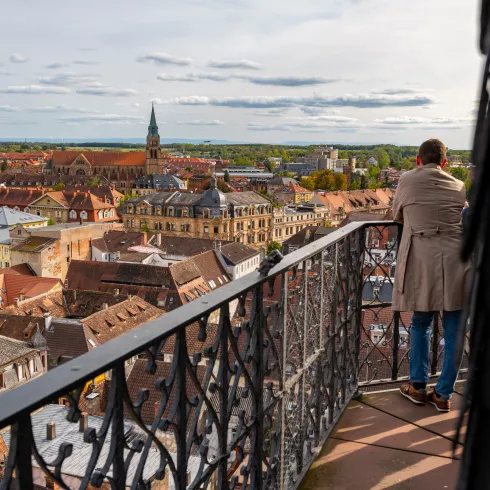 Ausblick von der Stiftskirche in Landau