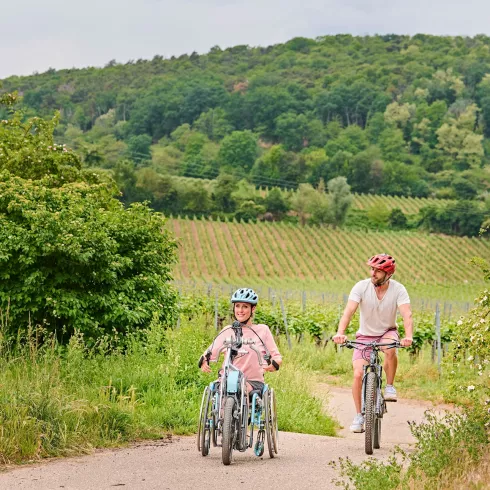 Unterwegs auf der Reben und Rüben Runde