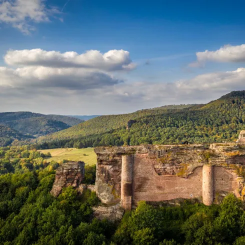 Burg auf Fels im Wald