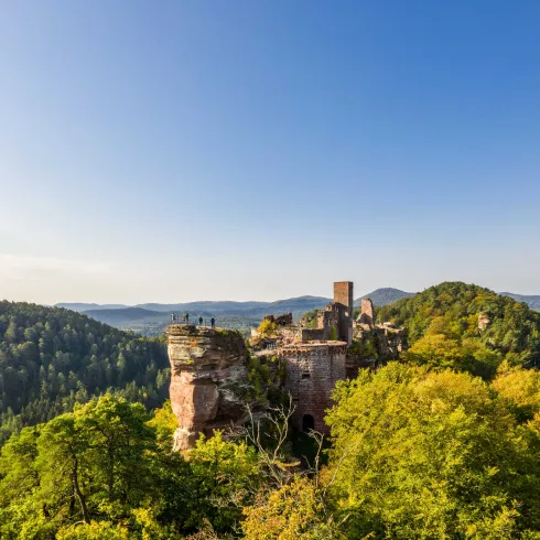 Wanderer auf Burg Alt-Dahn mit Weitsicht über Pfälzerwald