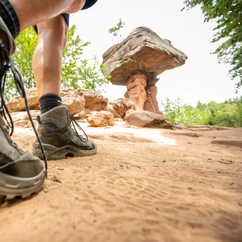 Wandern in der Pfalz