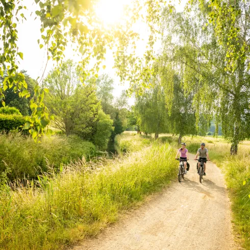 Radweg bei Katzweiler