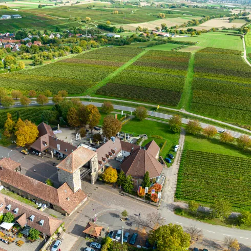 Südliche Weinstraße