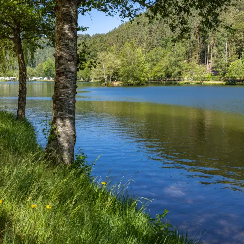 Waldfischbach Burgalben