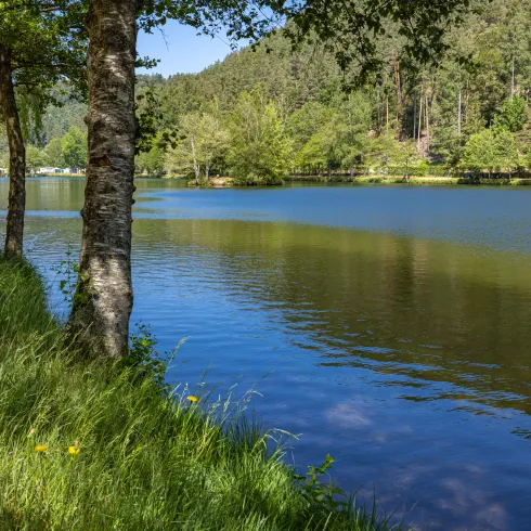 Waldfischbach Burgalben