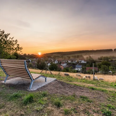 Eine Holzbank auf einem Wanderpfad bei Weilerbach. 