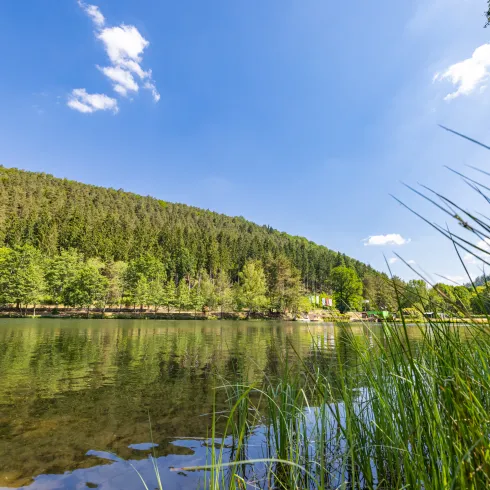 Clausensee in Waldfischbach-Burgalben