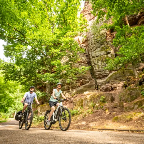 Buntsandstein am Radweg im Pfälzerwald