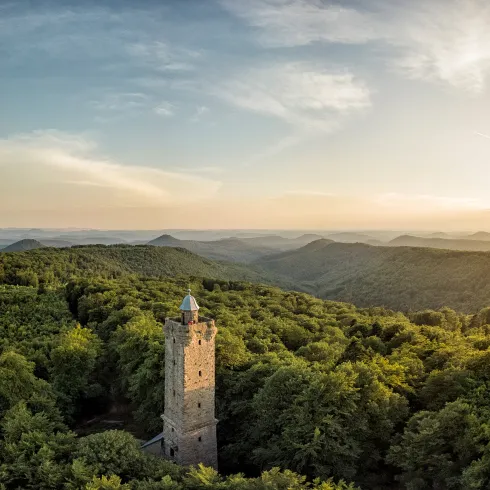 Luitpoldturm mitten im Pfälzerwald