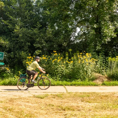 Der Queichtalradweg führt mitten durch die Queichwiesen
