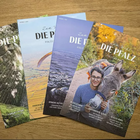 Übersicht Pfalzclub-Magazine