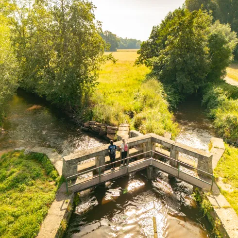 Ottersheimer Teilungswehr in den Queichwiesen