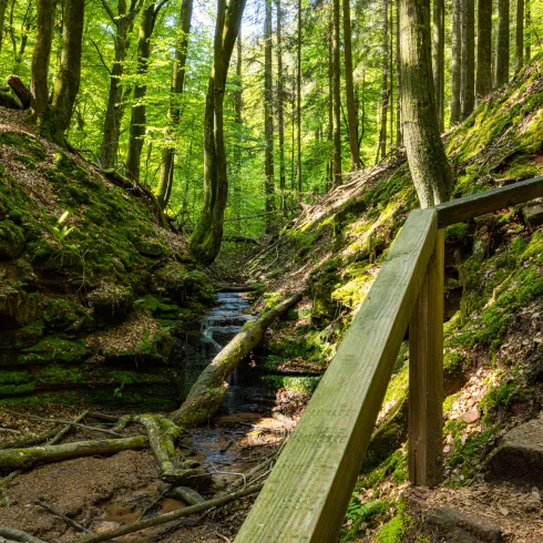 Bruchmühlbach Miesau