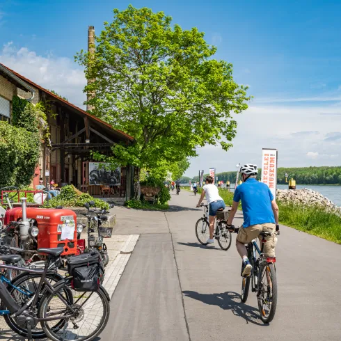 Radfahren im Landkreis Germersheim 