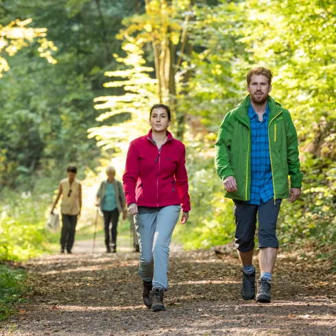 Vier Personen wandern im Wald